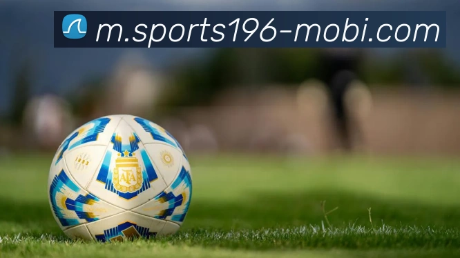 196体育平台生态图