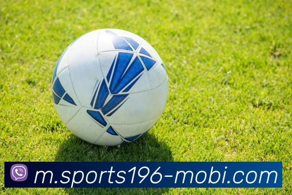 196体育APP 封面图